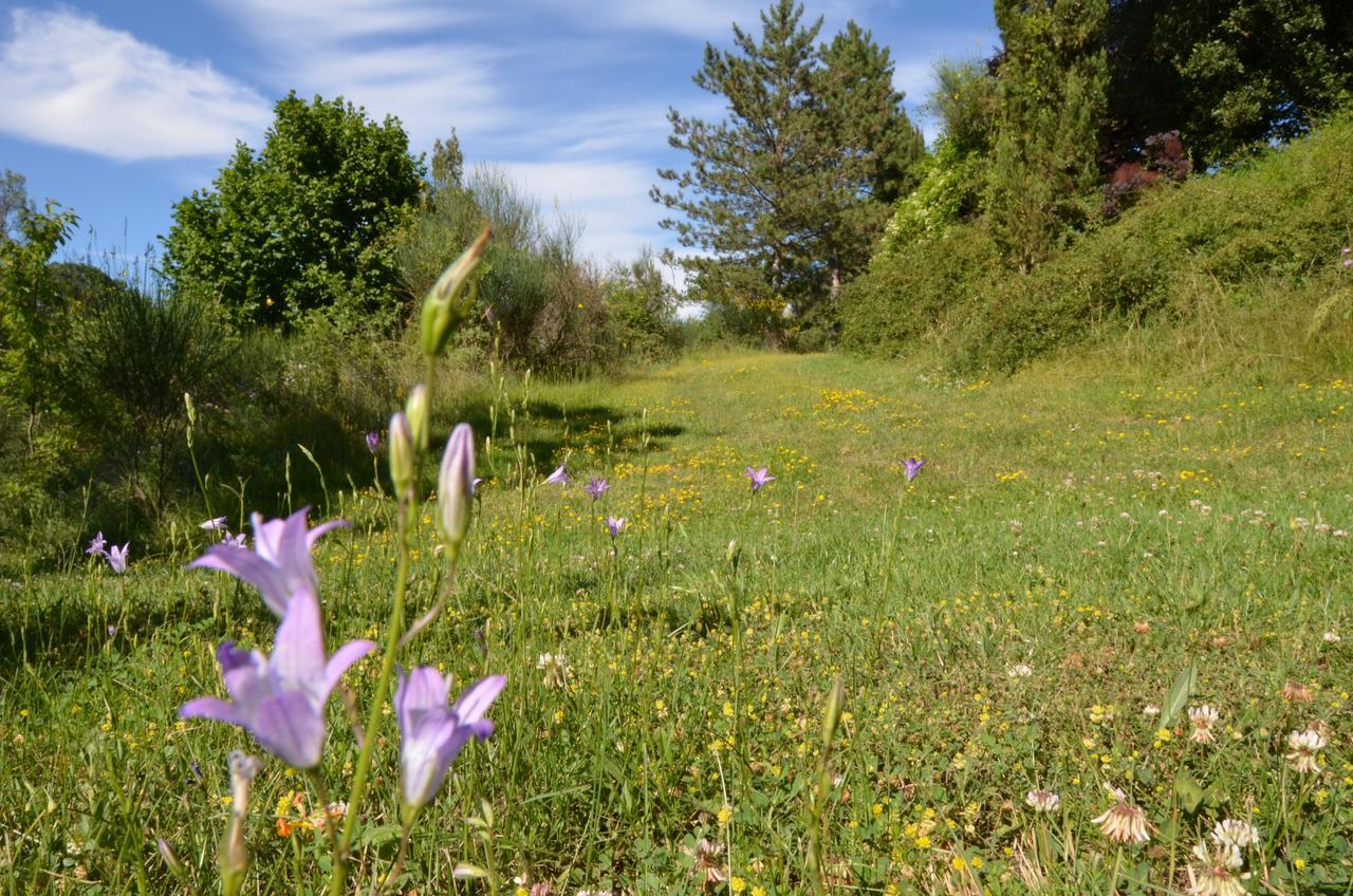 Agriturismo Villa Mozart Nel Verde Gubbio Exterior photo