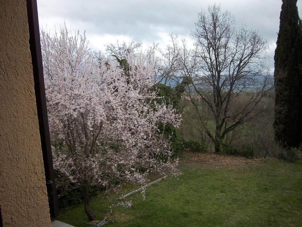 Agriturismo Villa Mozart Nel Verde Gubbio Exterior photo